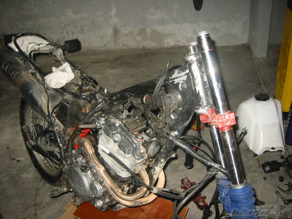 Photo 931938