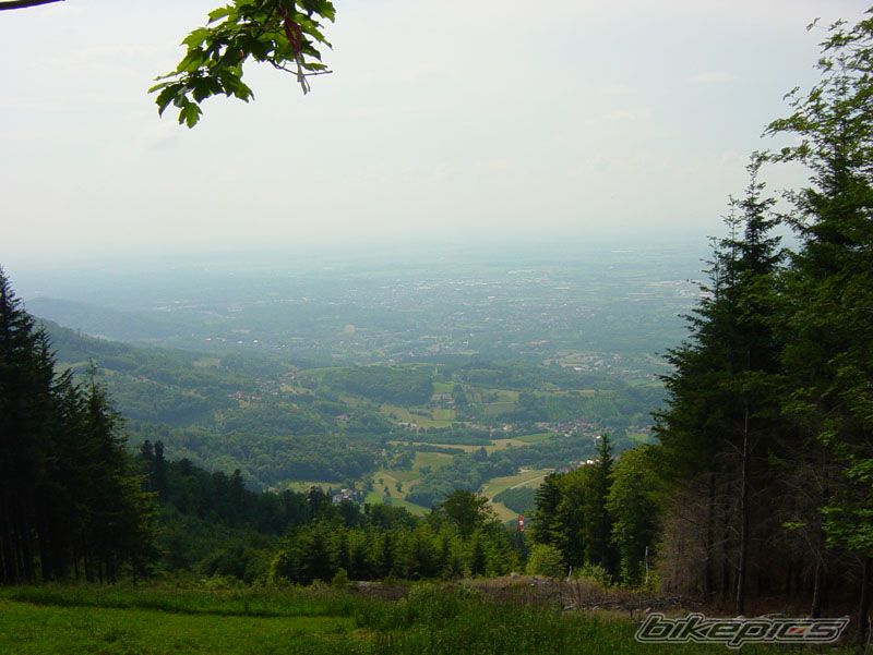 Photo 931979