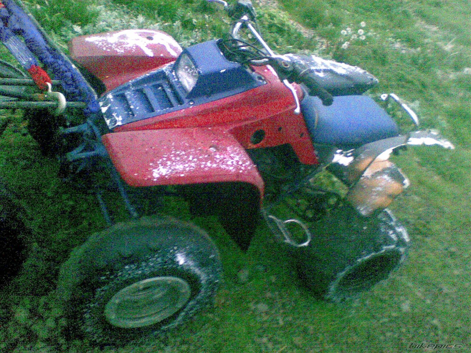 Photo 932092