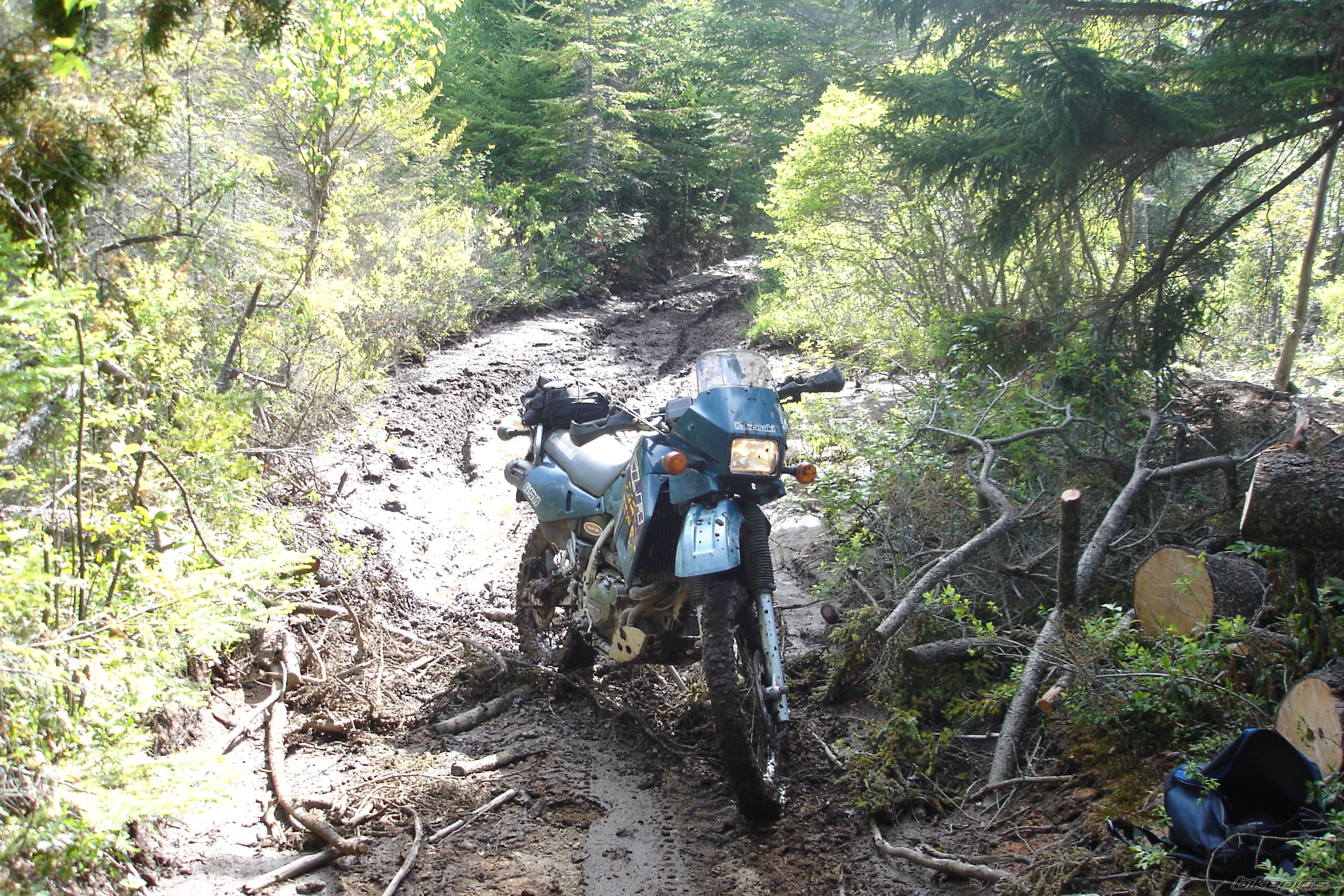Bike Photo 932127
