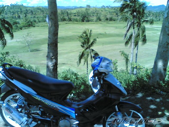 Photo 932195