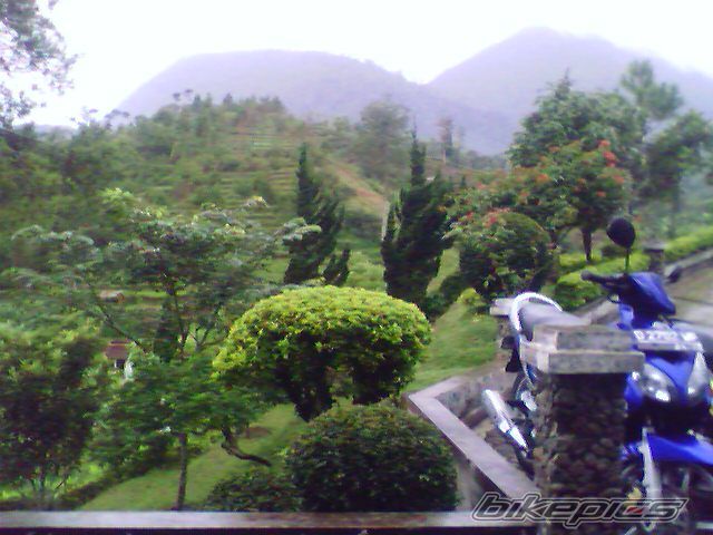 Photo 932229
