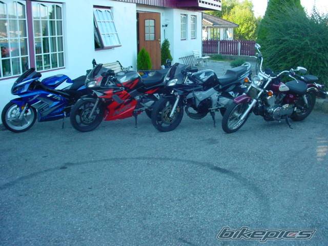 Photo 93231