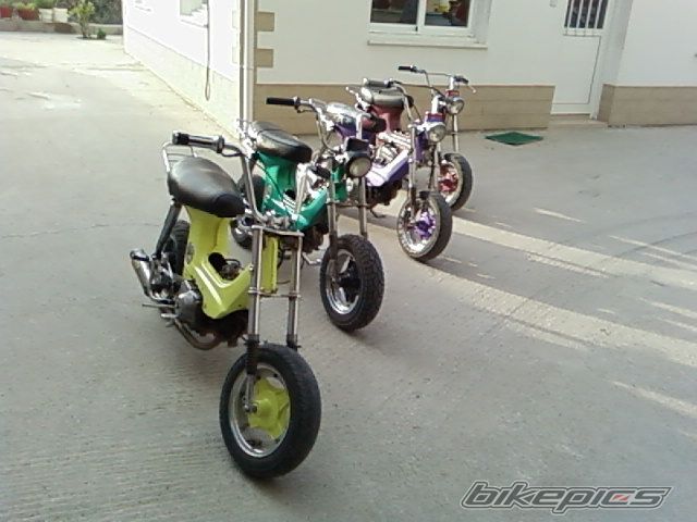 Photo 932338