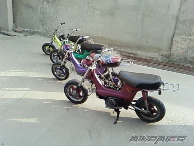 Photo 932340