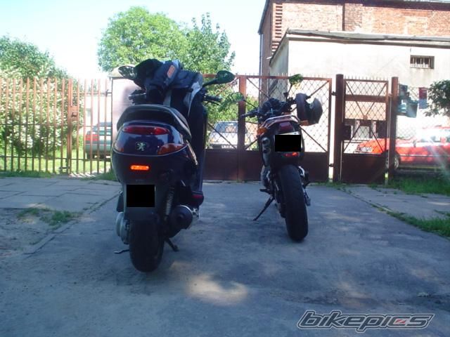 Photo 932654