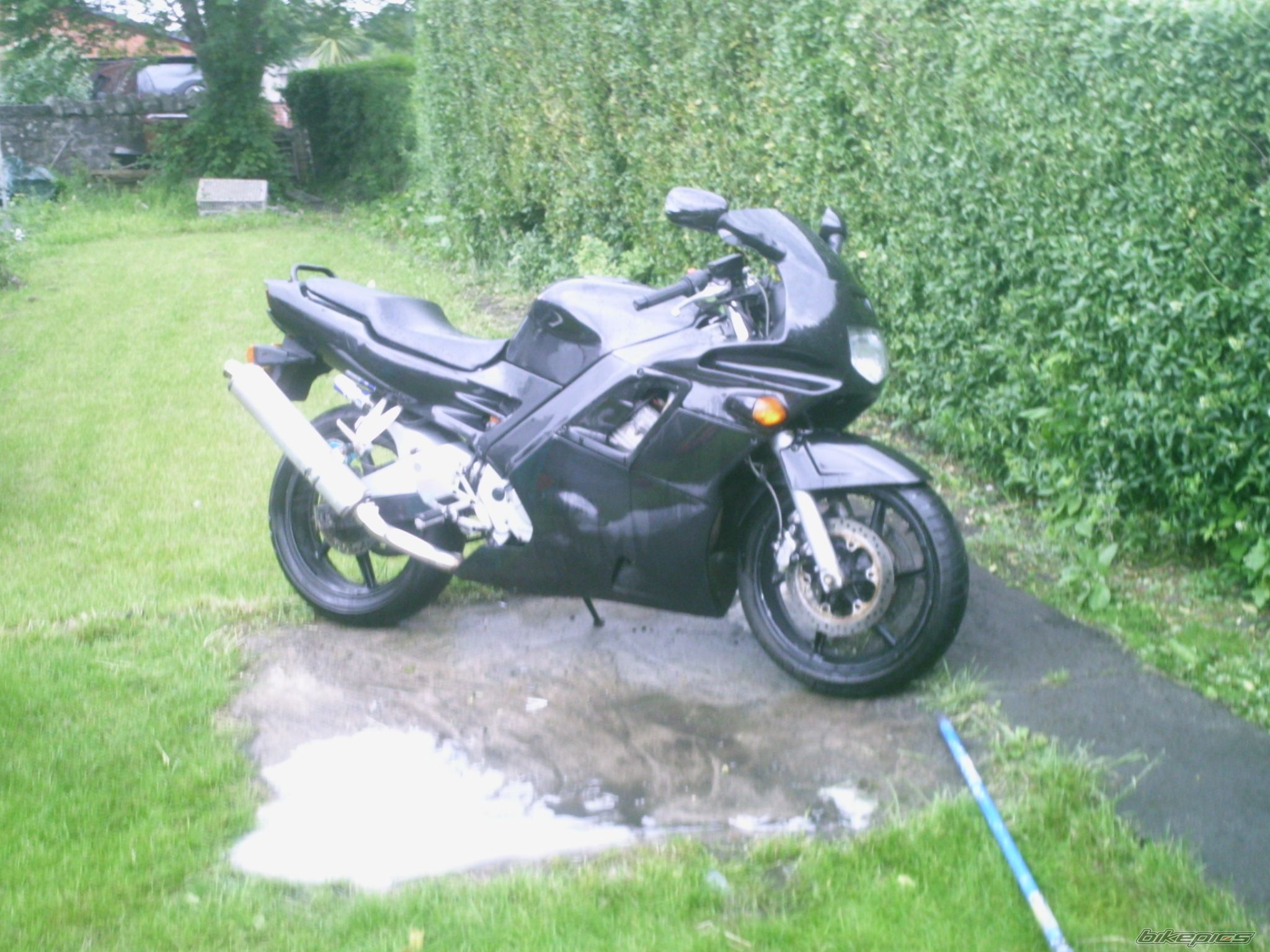 Photo 932833