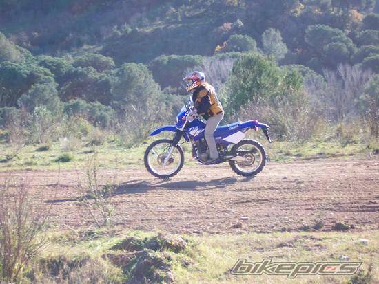 Bike Photo 93294