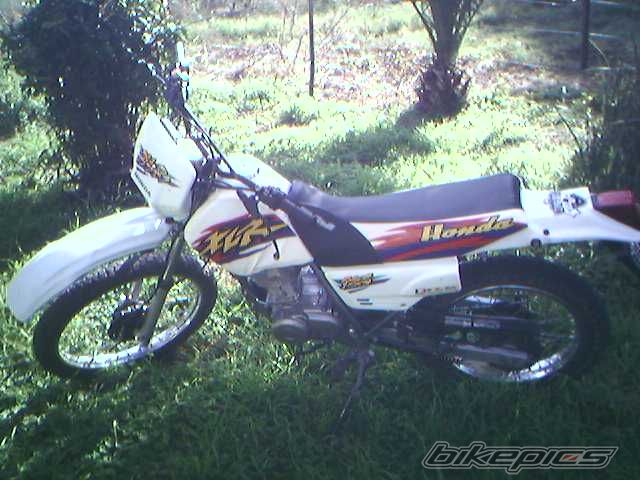 Photo 932974