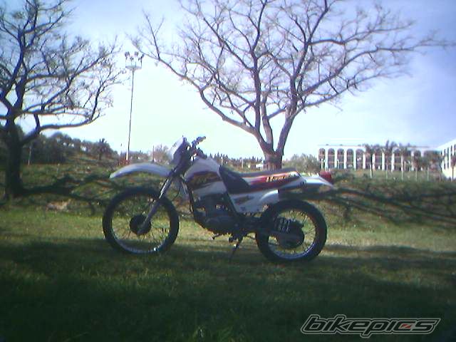 Photo 932975