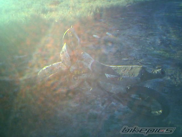 Photo 932976