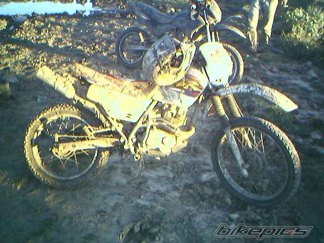 Photo 932977