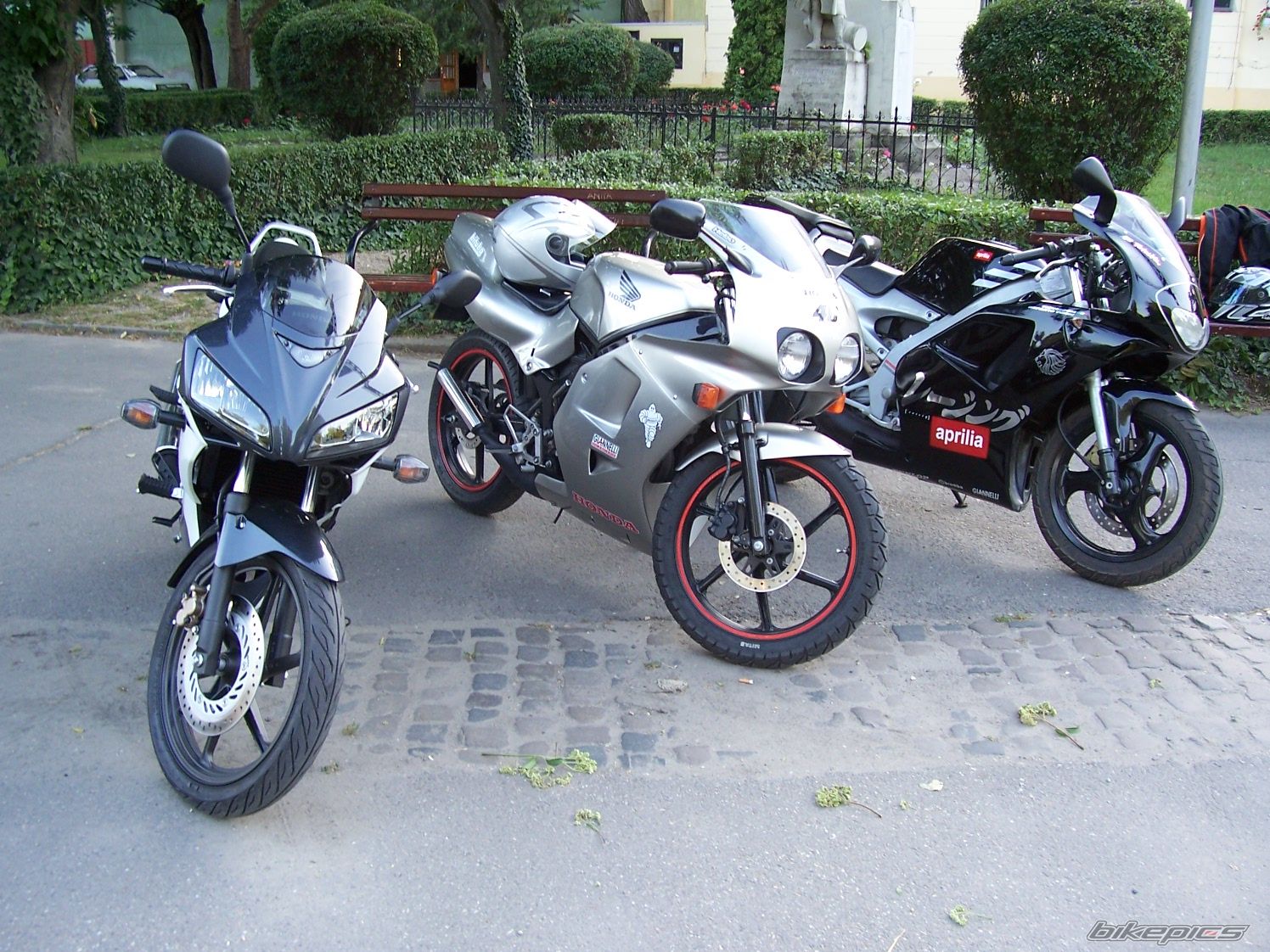 Photo 933007