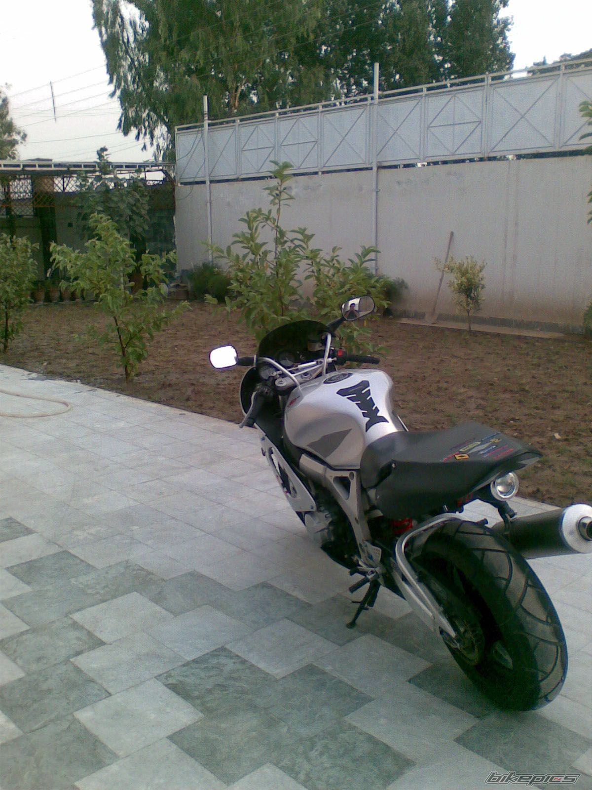 Photo 933978