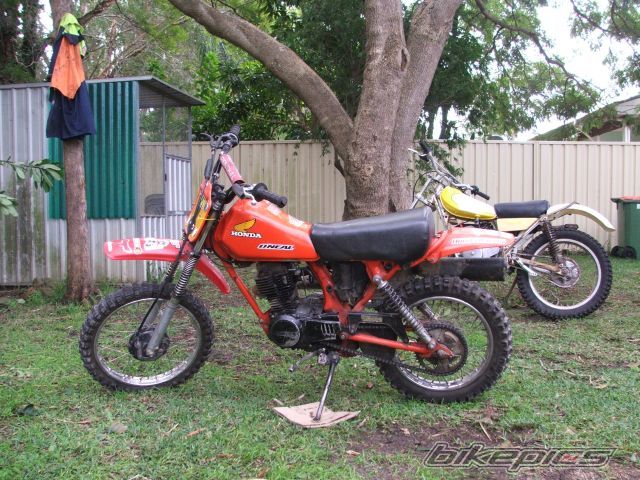 Photo 934292