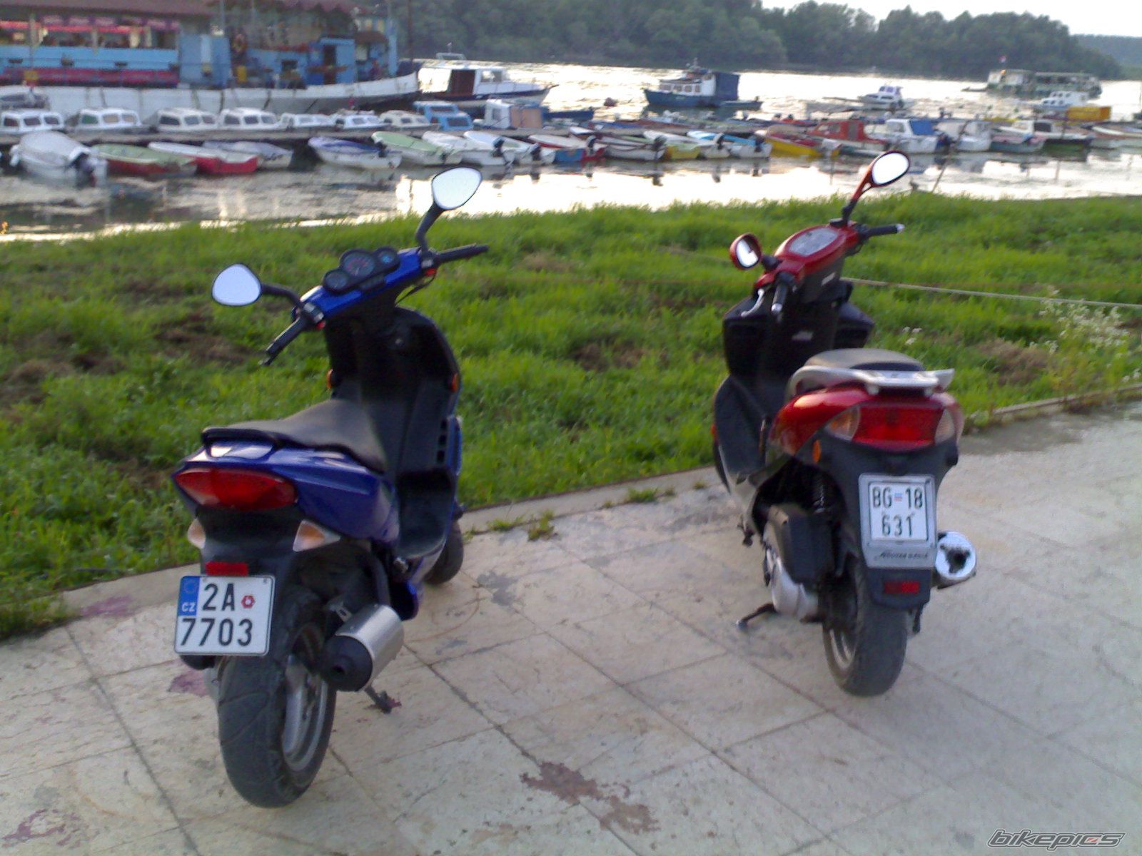 Photo 934921