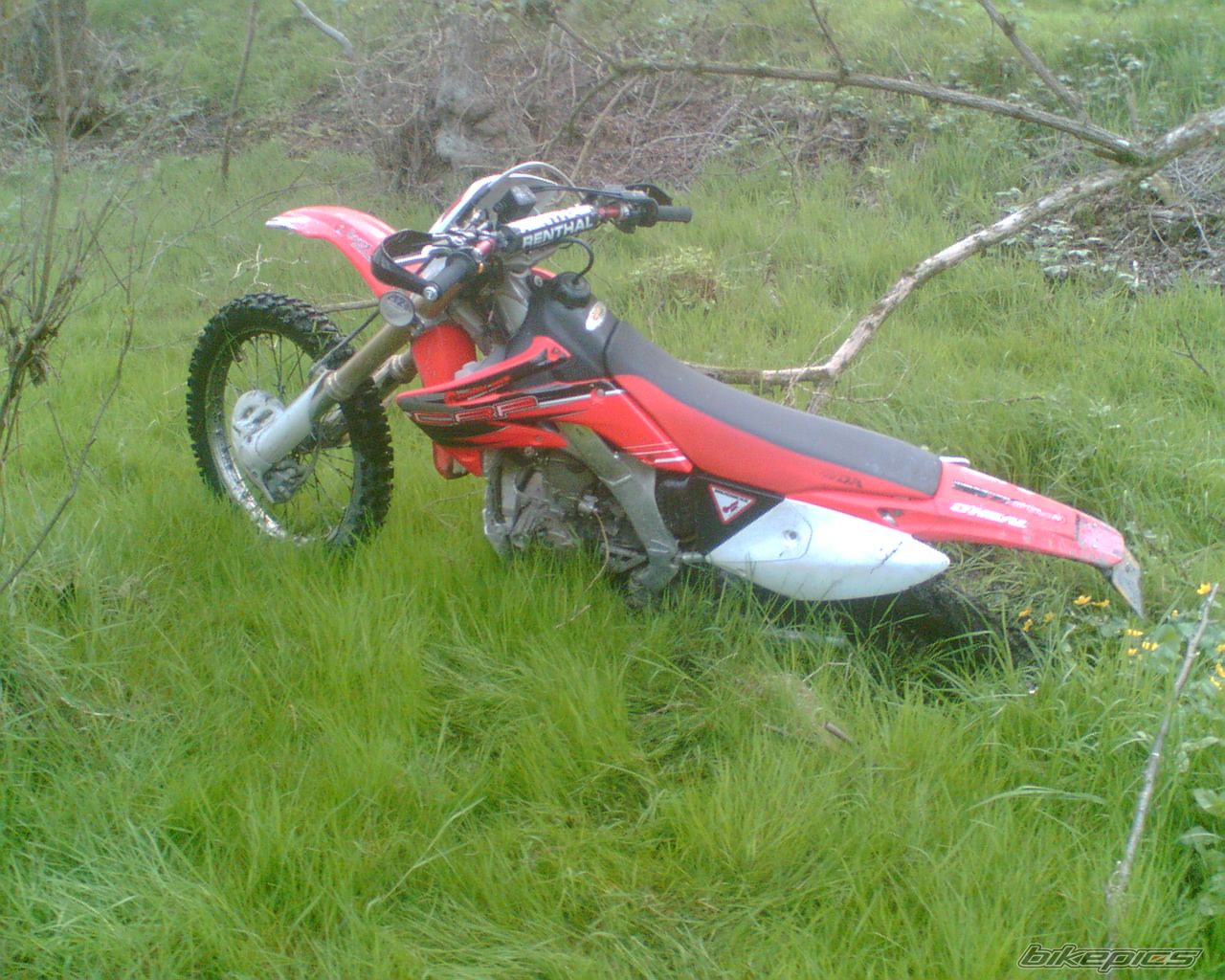 Photo 935041