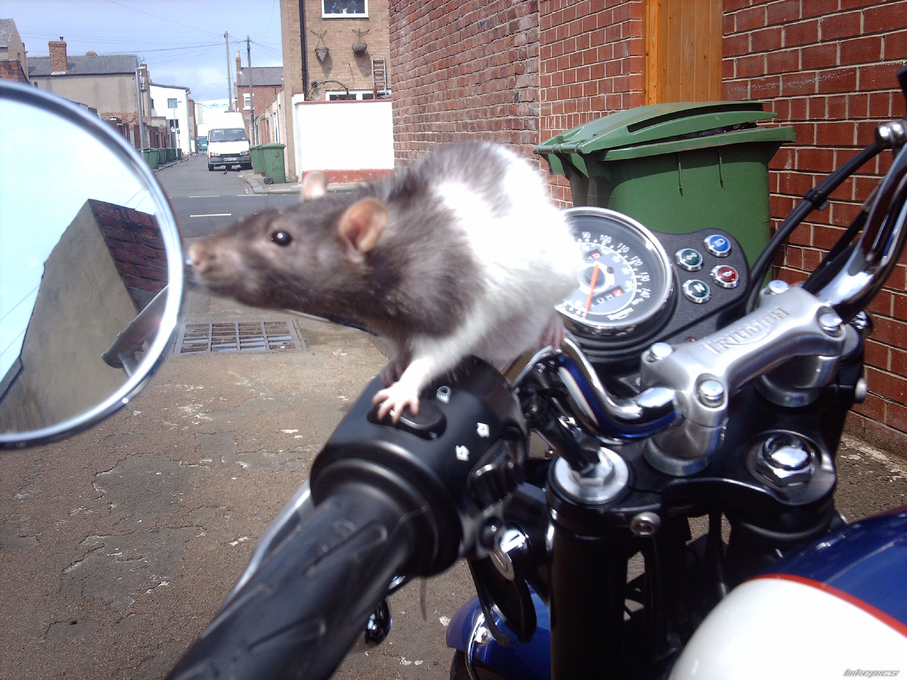 Bike Photo 935479