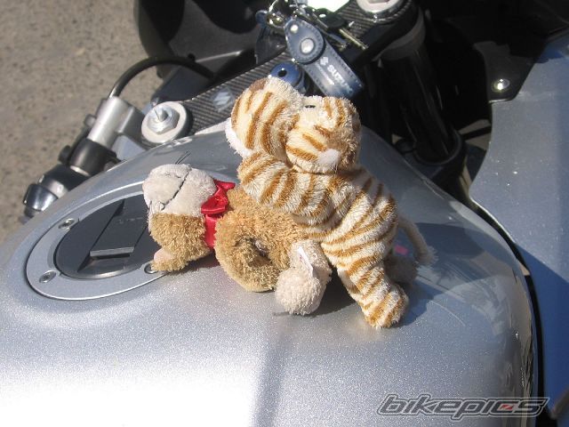 Bike Photo 935608