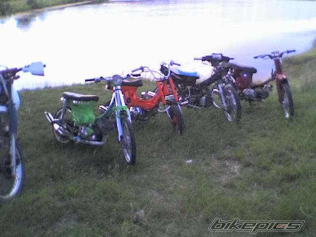 Photo 936005