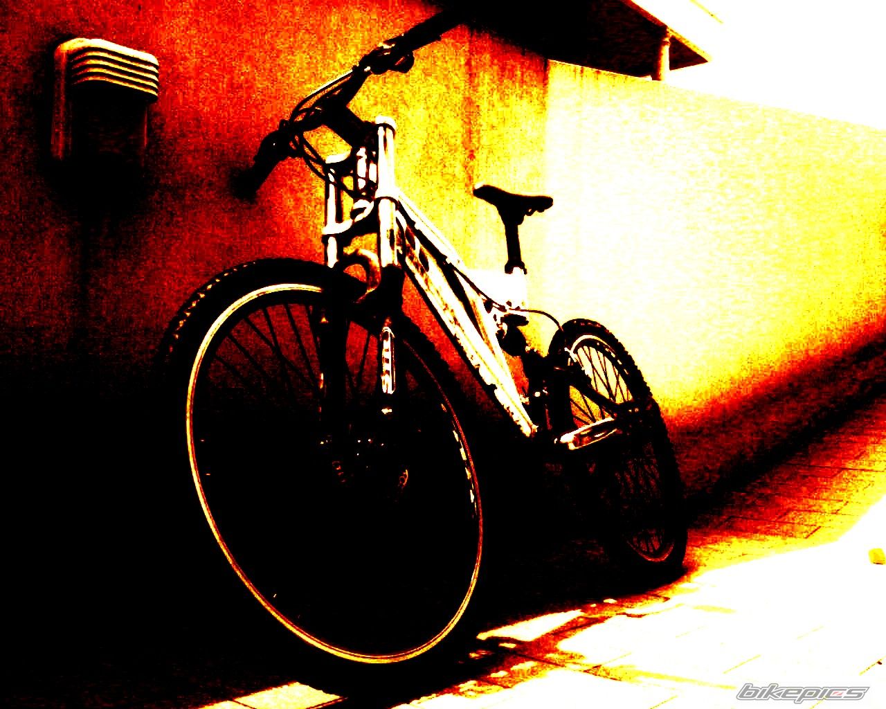 Photo 936153