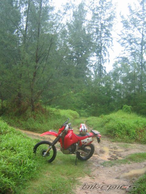 Photo 936514
