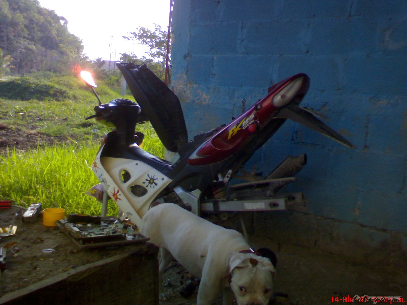 Bike Photo 936986