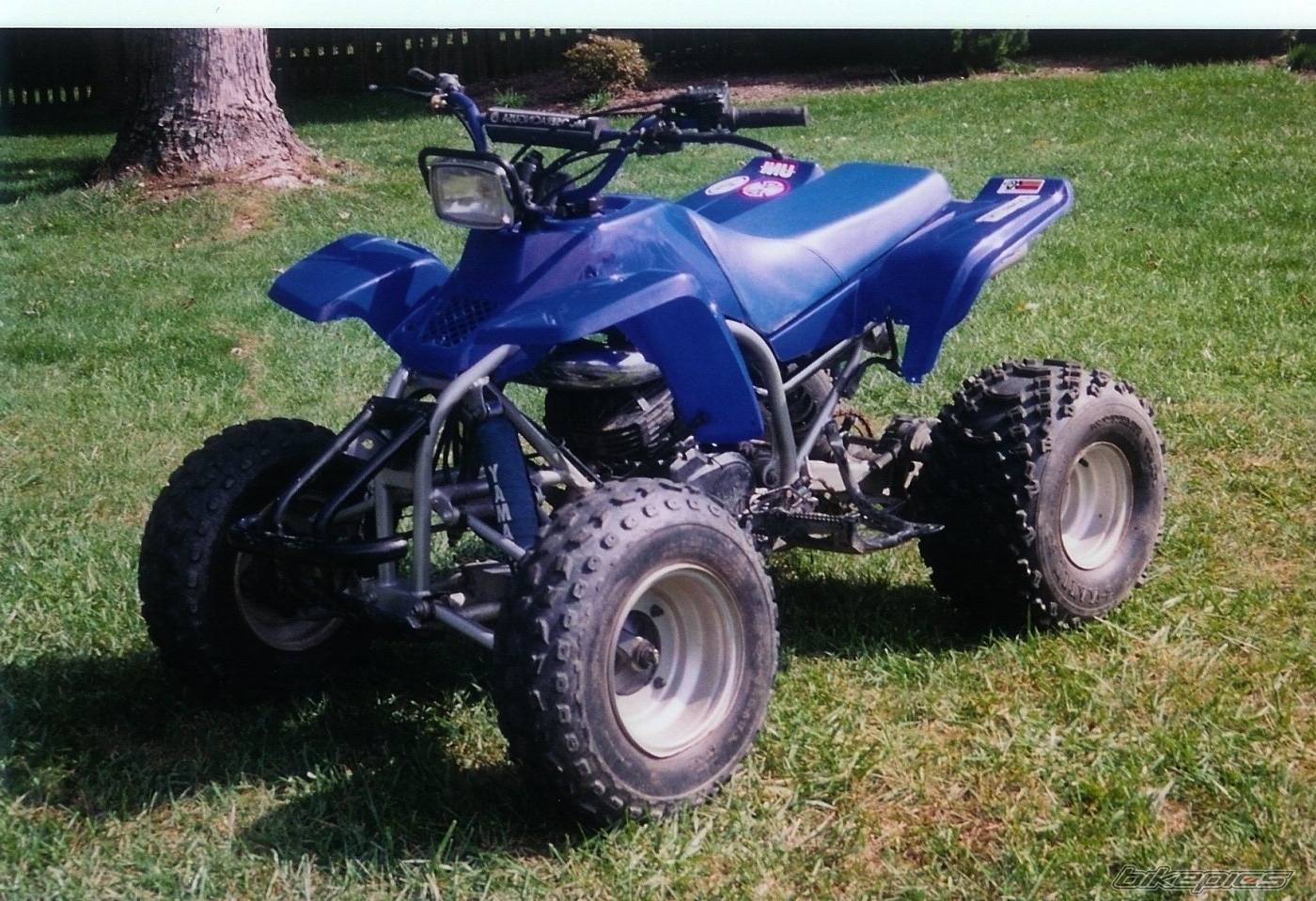Photo 93715