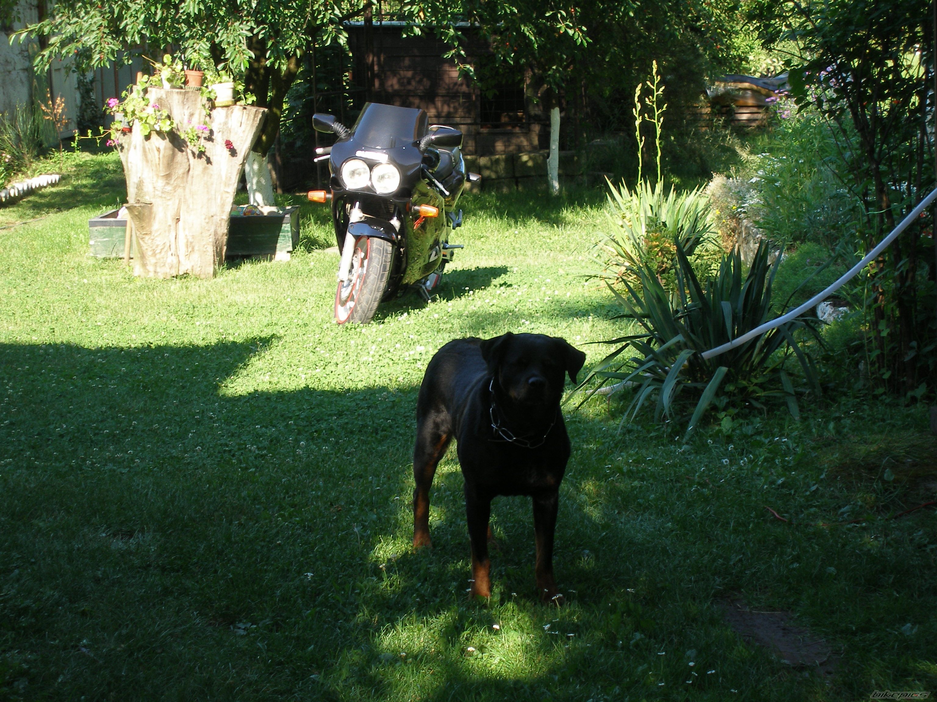 Photo 937935