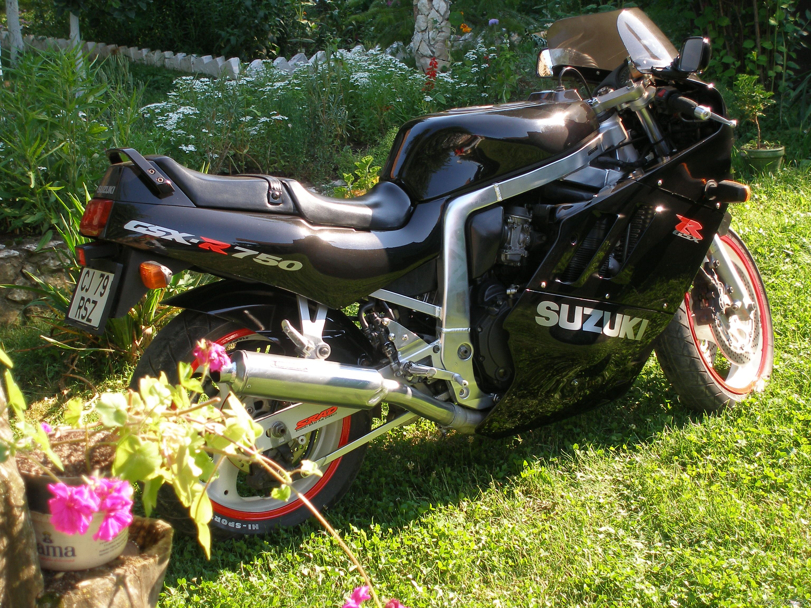 Photo 937941