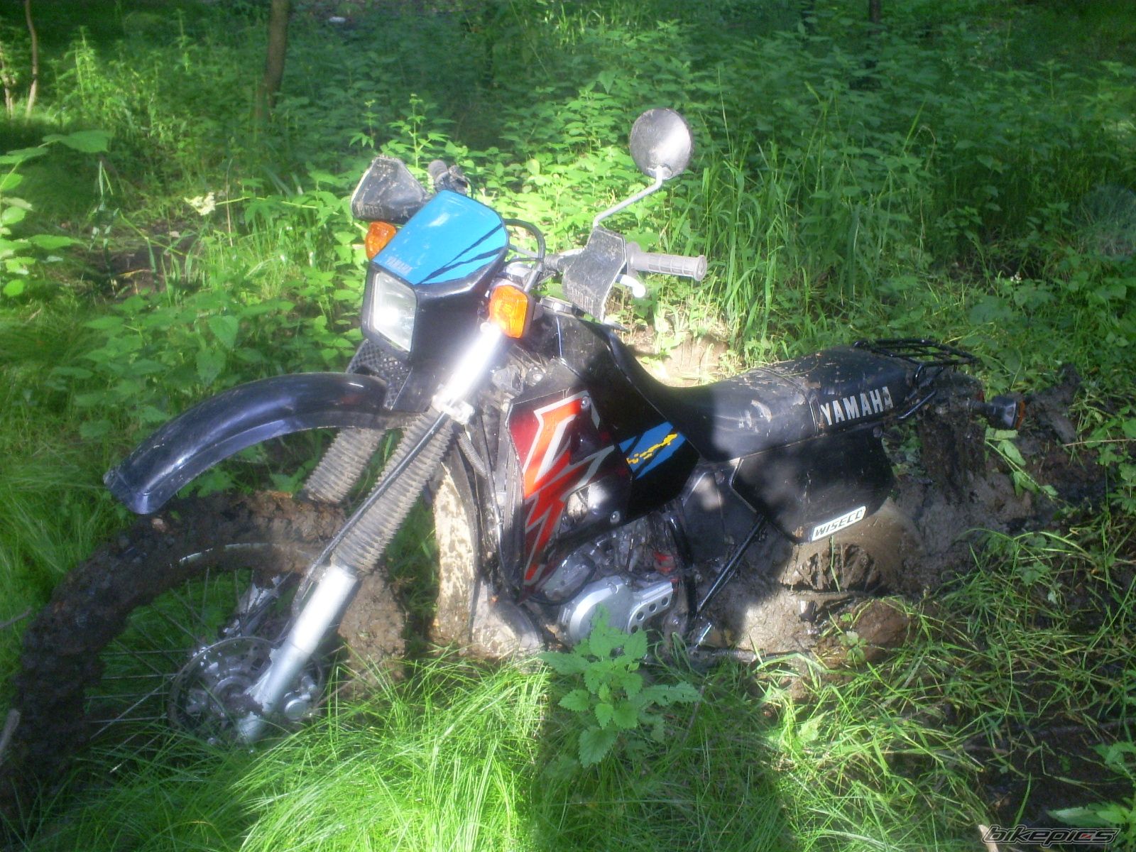Photo 937990