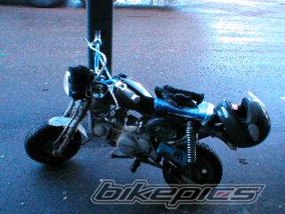 Photo 93816