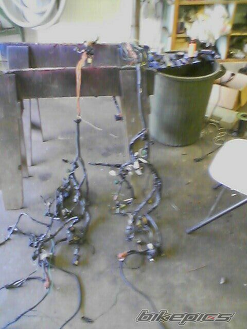 Bike Photo 938346