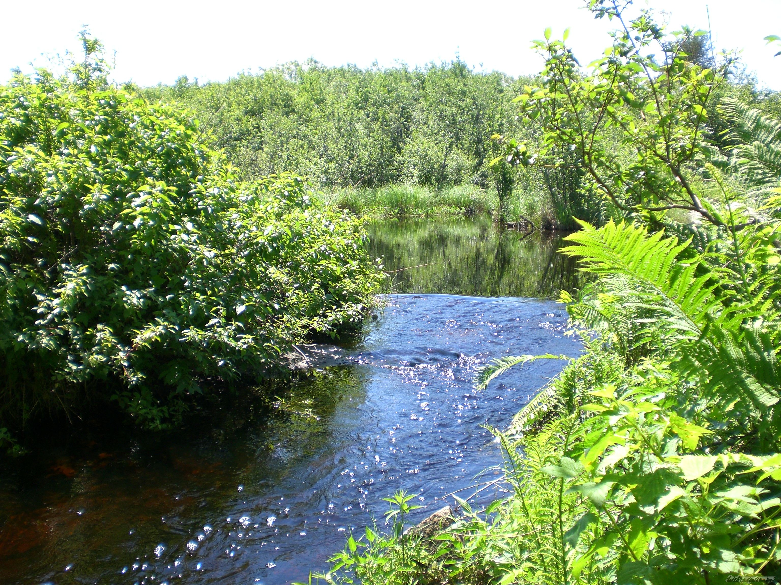 Photo 939711