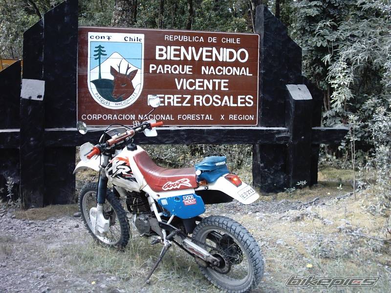 Bike Photo 94055