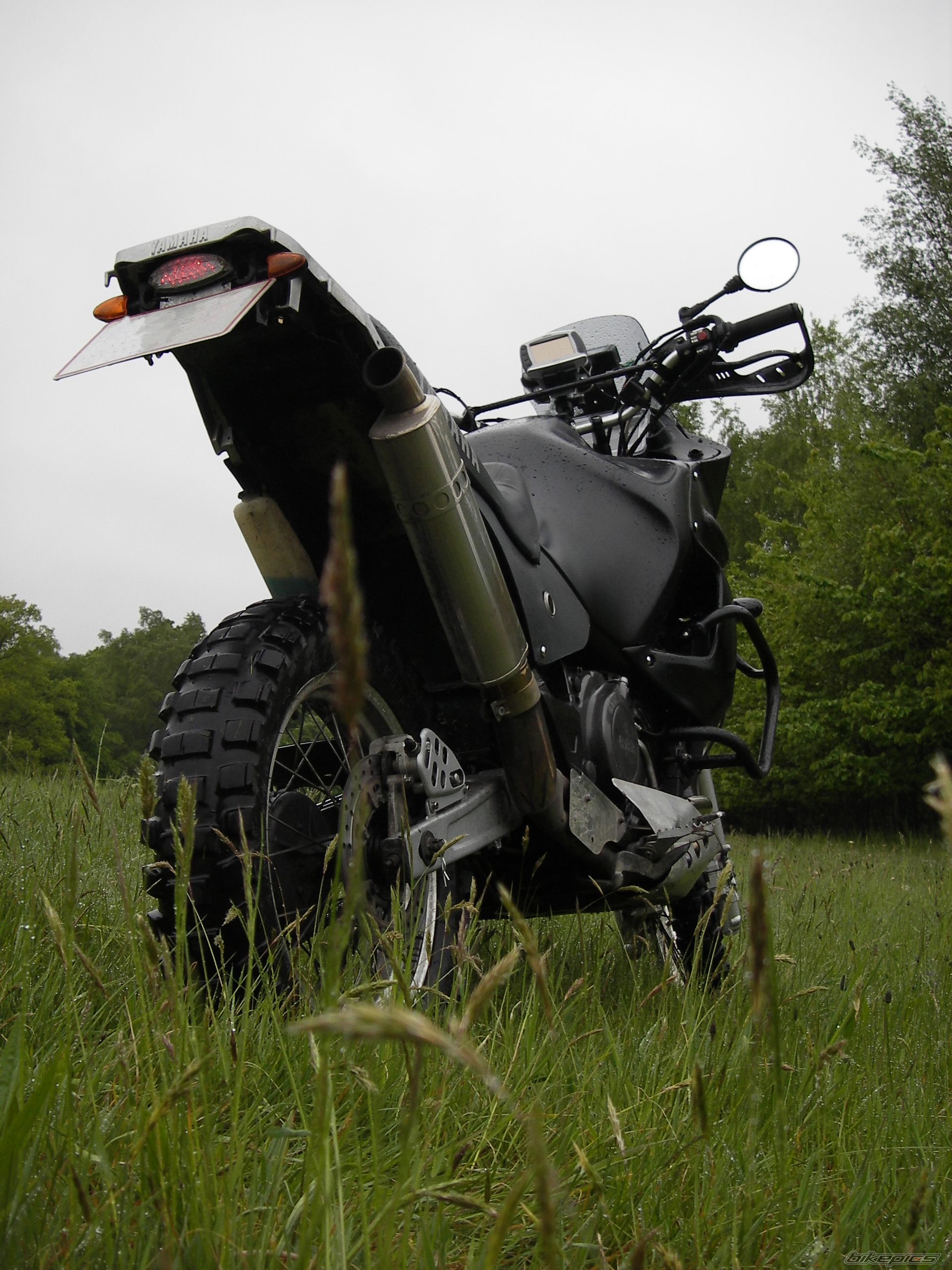 Photo 940715