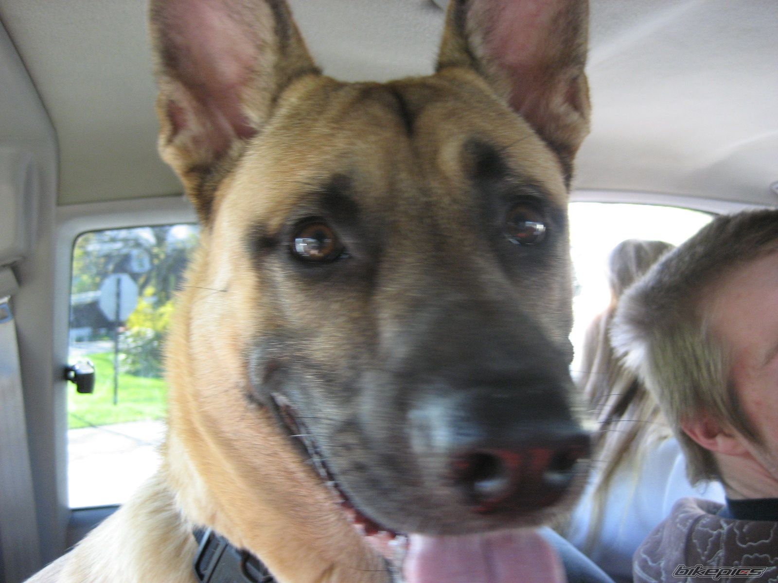 Photo 941040