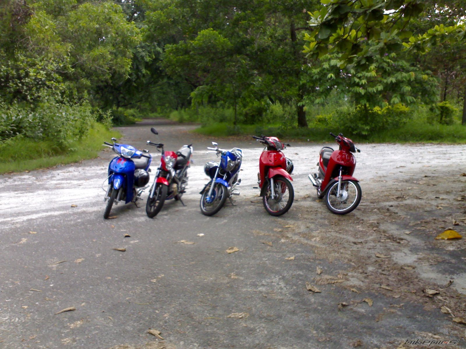 Photo 941083