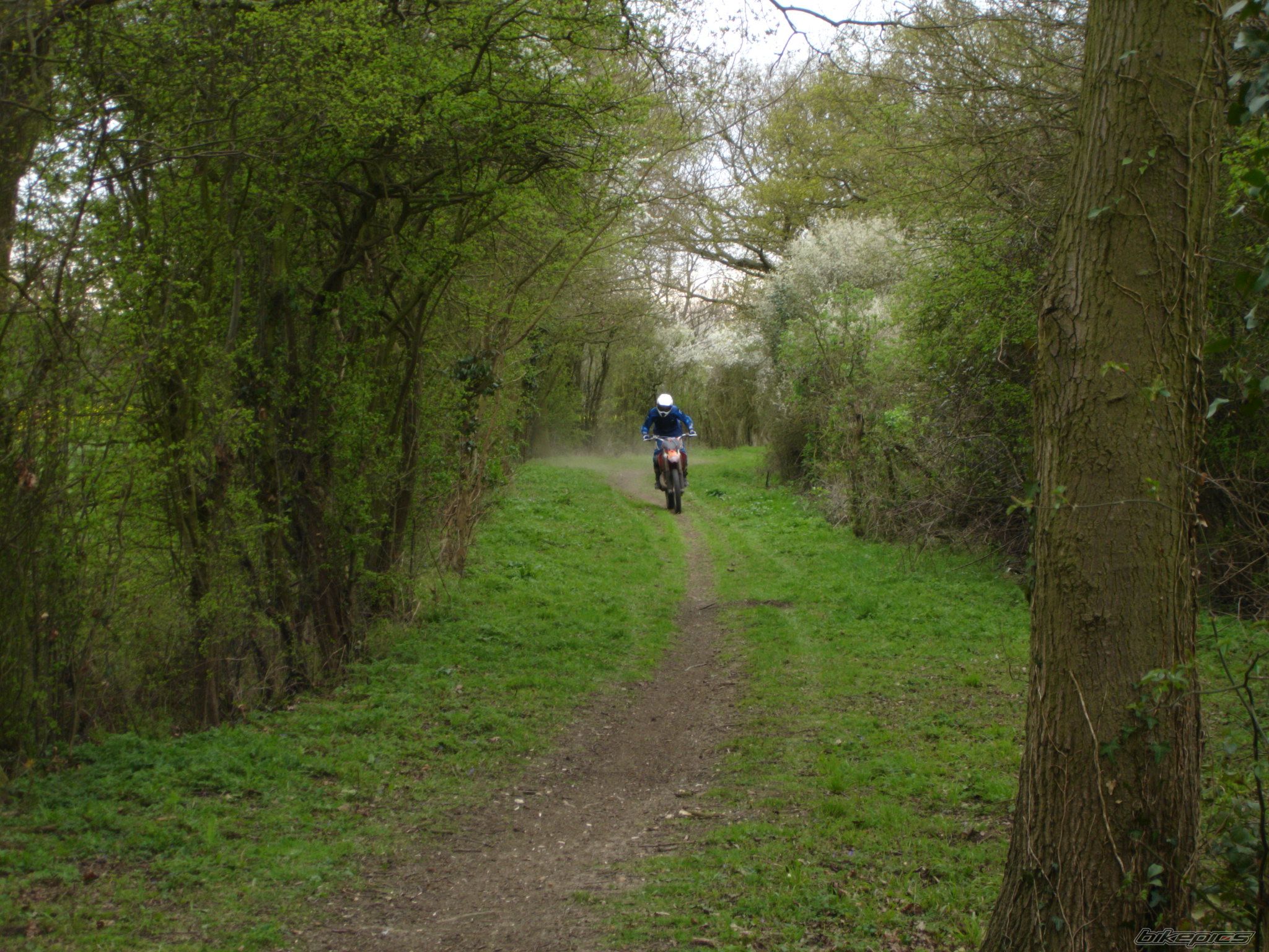 Photo 941233
