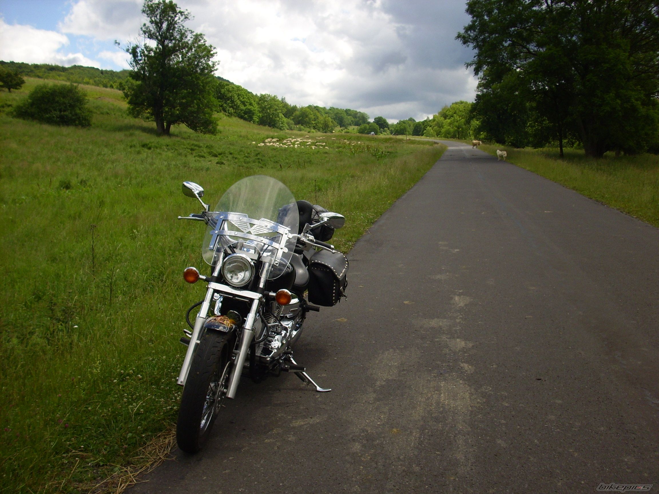 Photo 941737