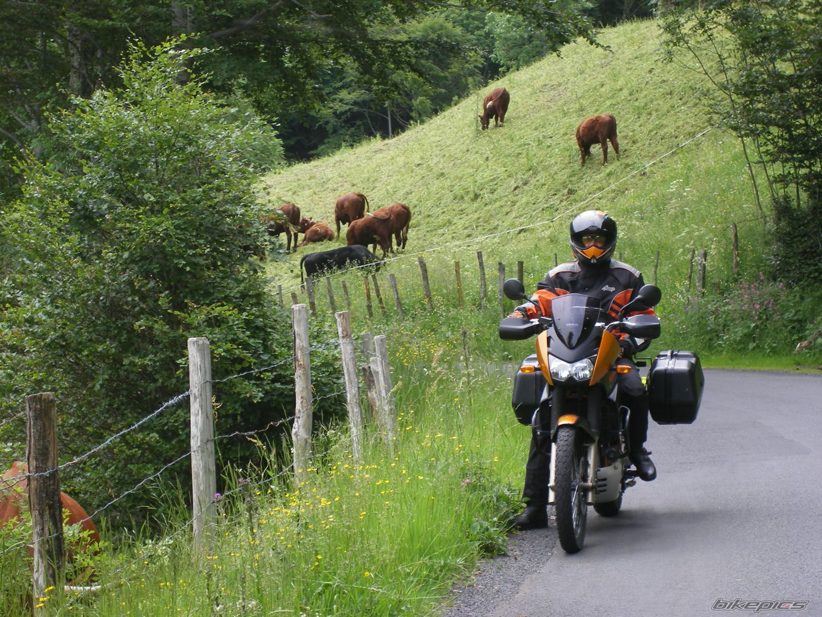 Bike Photo 941780