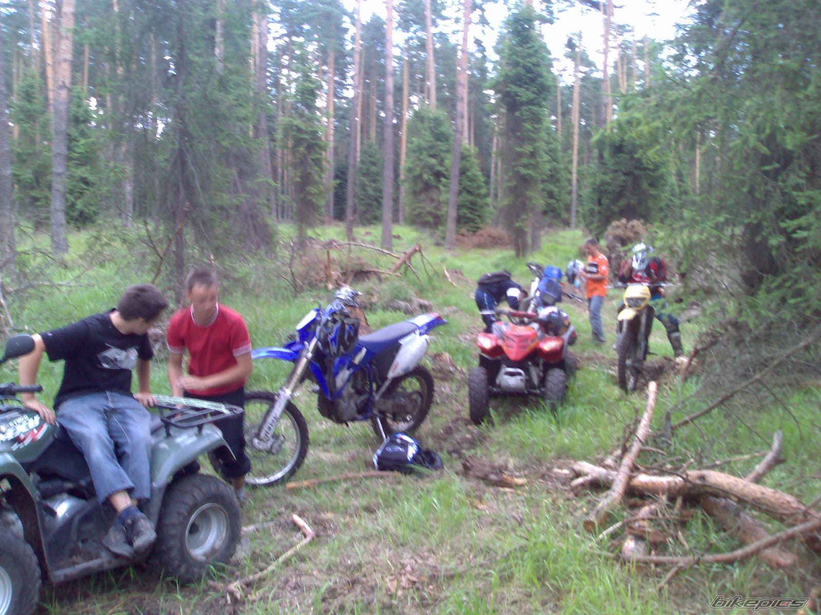 Photo 941803