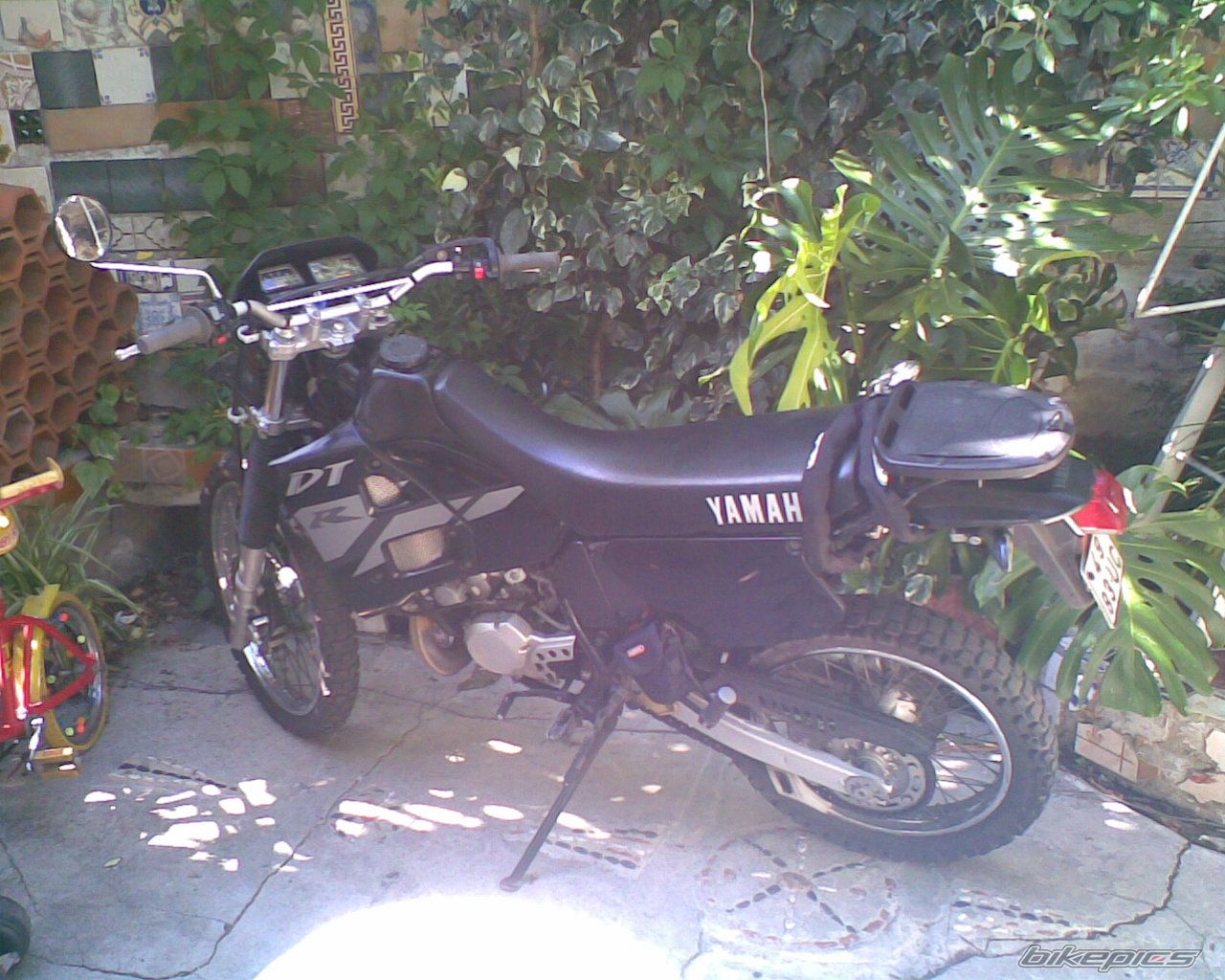 Photo 941983