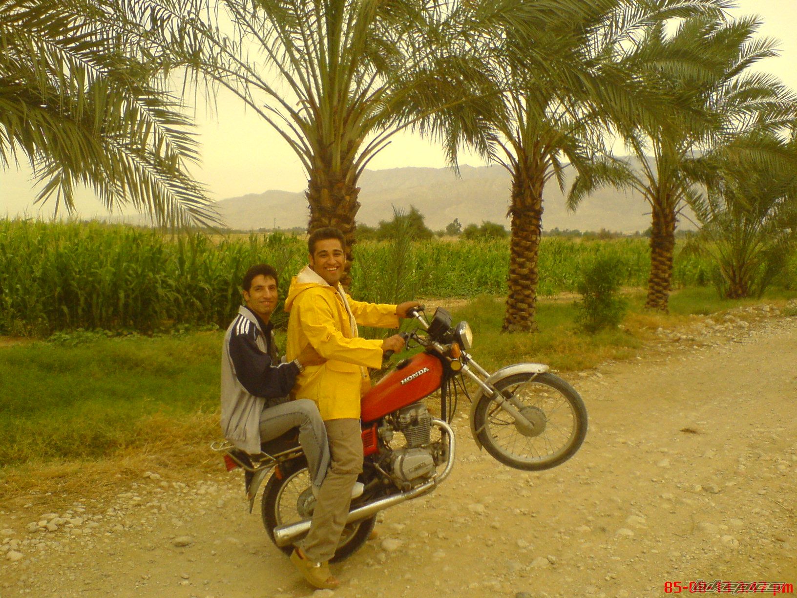 Photo 942011