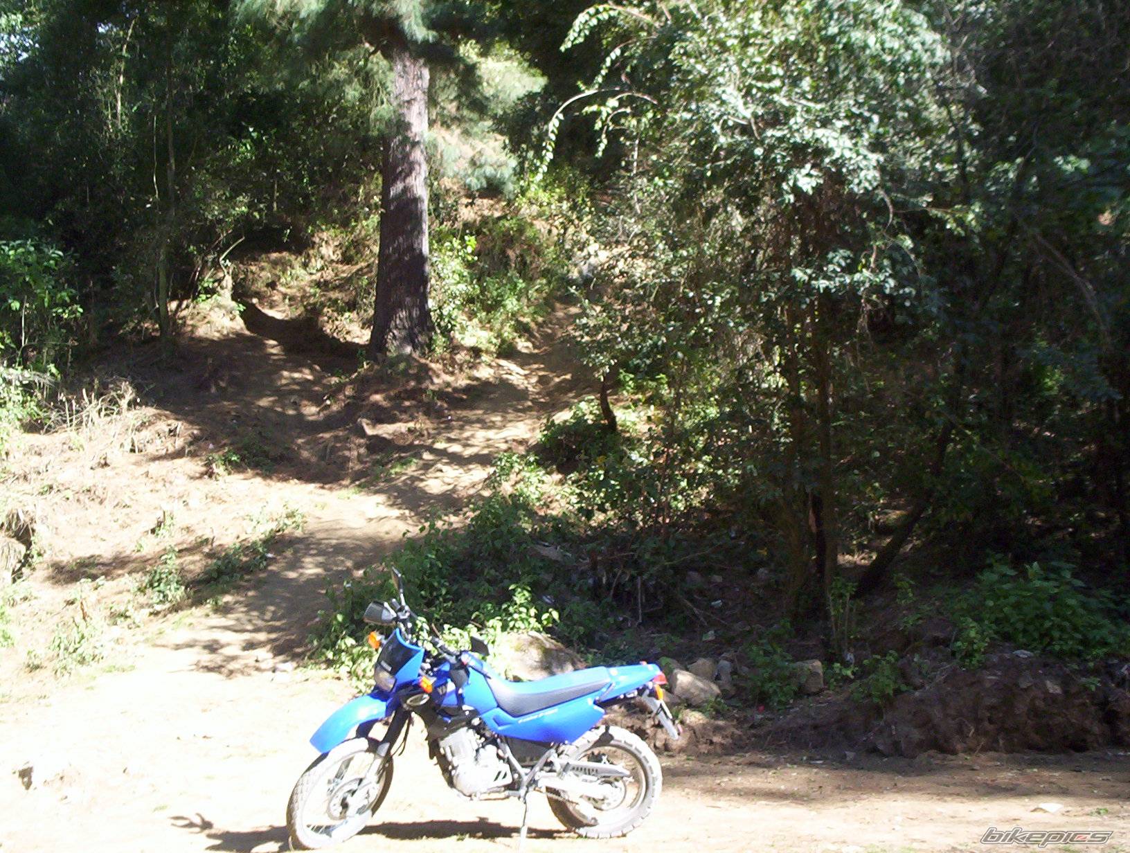 Photo 94229