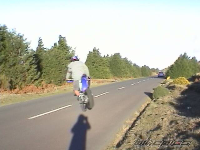 Photo 94240