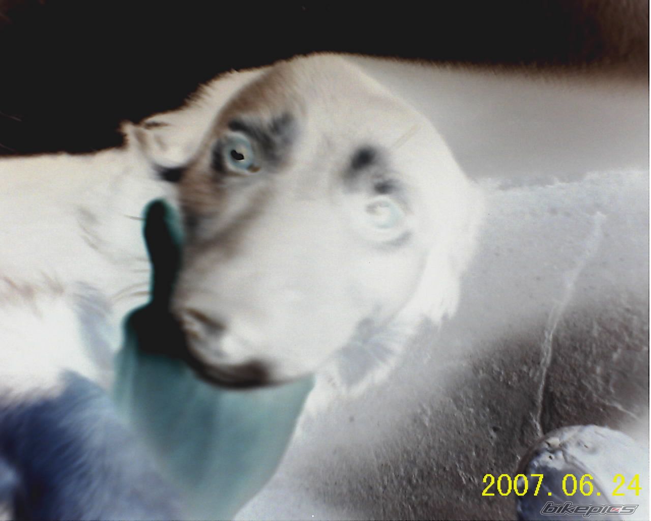Photo 942655