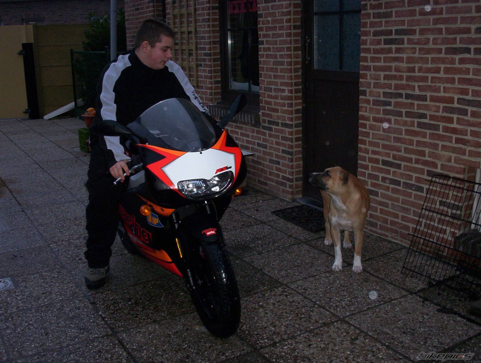Photo 94275