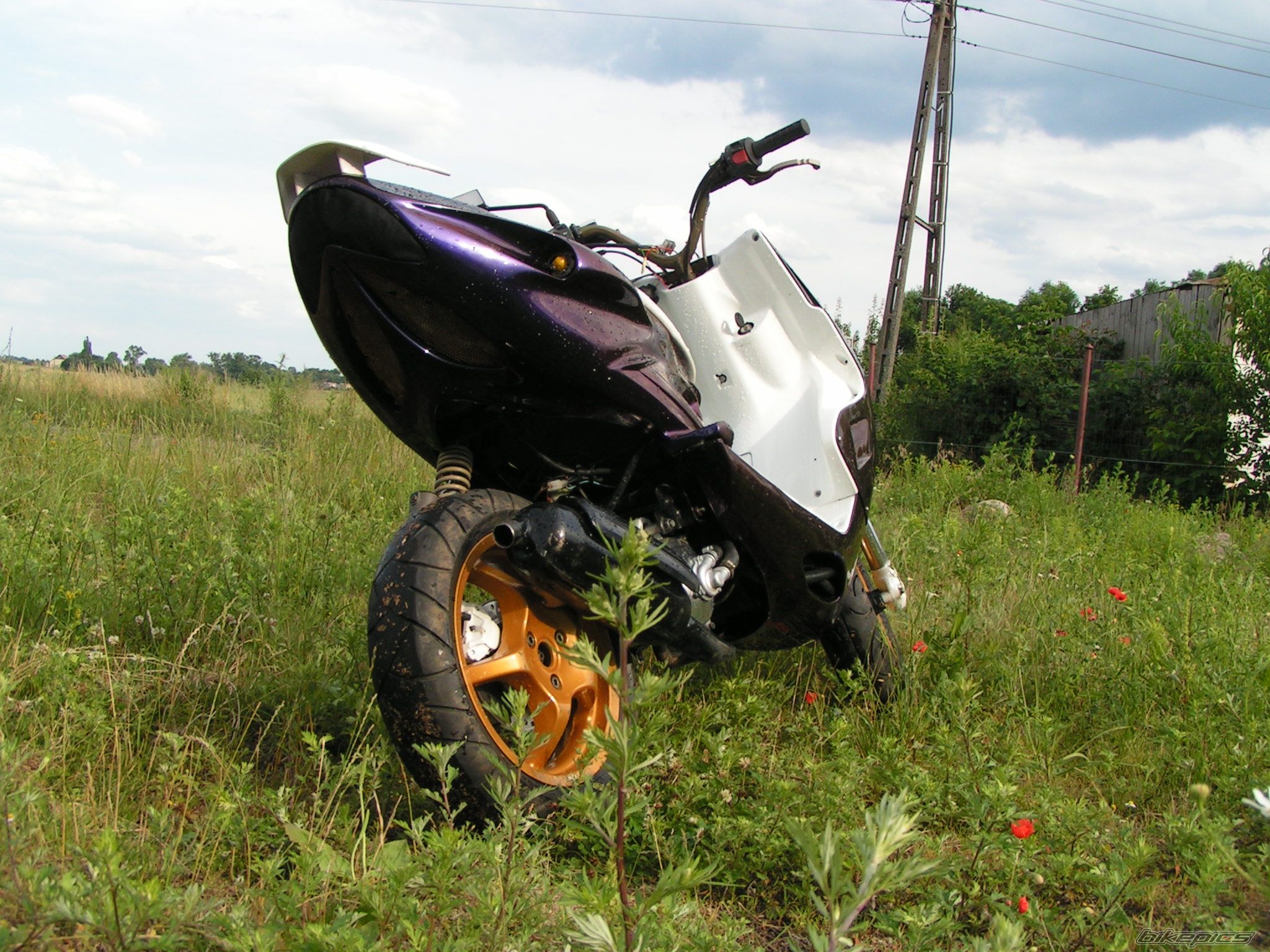 Photo 942829