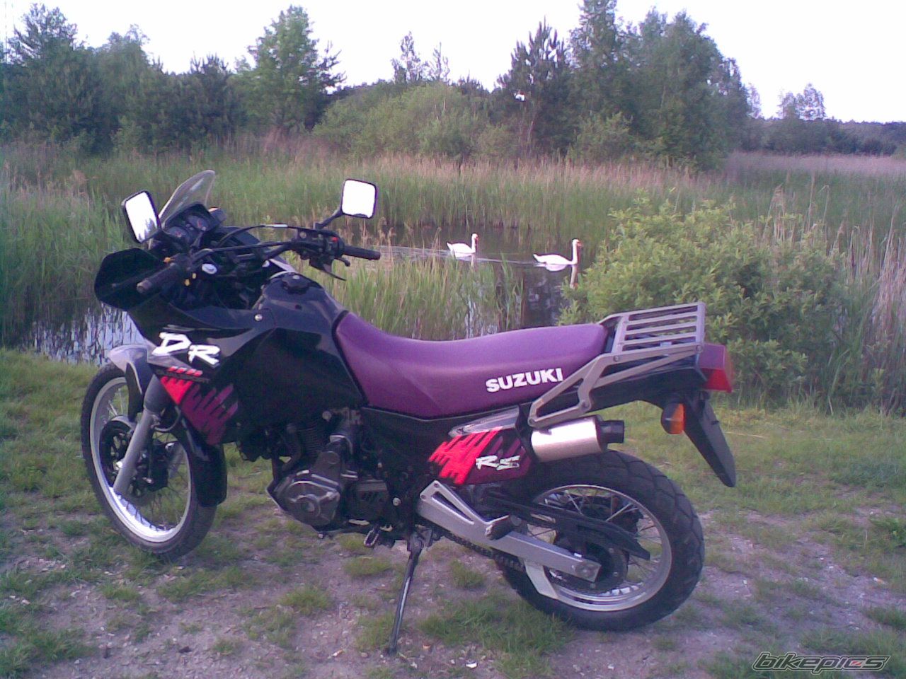 Photo 943165
